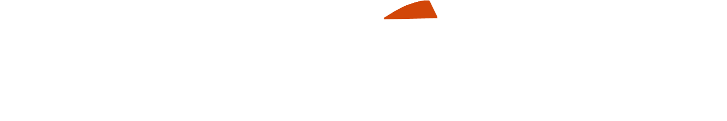 Bright Orange