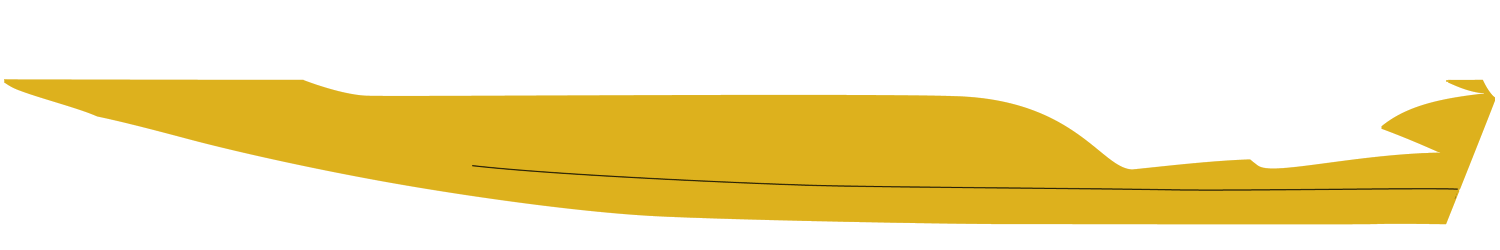 Canary Yellow