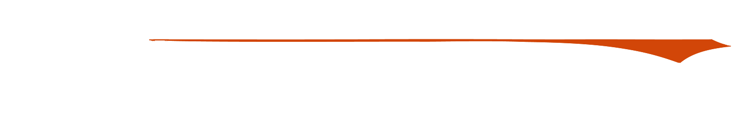 Bright Orange