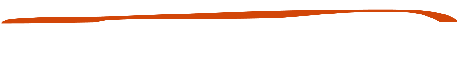 Bright Orange