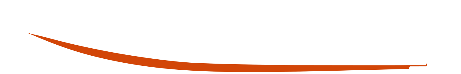 Bright Orange